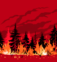 la prévention des feux de forêt par le débroussaillage