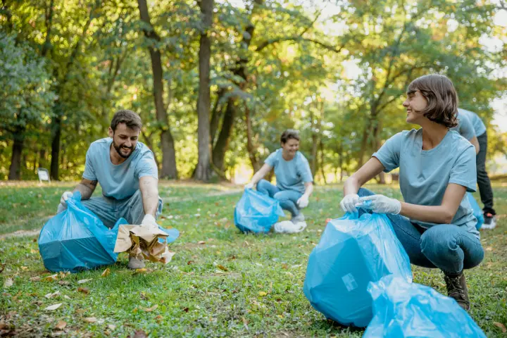 Clean Walk d'une forêt