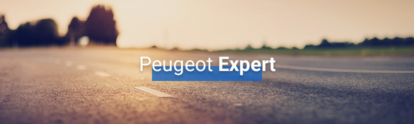 Peugeot Expert