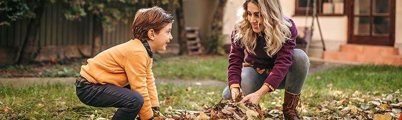 Préparez votre jardin pour l'hiver