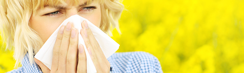 Traitement des allergies : quelles solutions ?