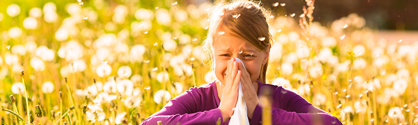 Allergies : qu’est-ce que c’est ? Quelles sont les causes ?  Focus sur les principales informations à retenir.