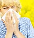 Traitement des allergies : quelles solutions ?