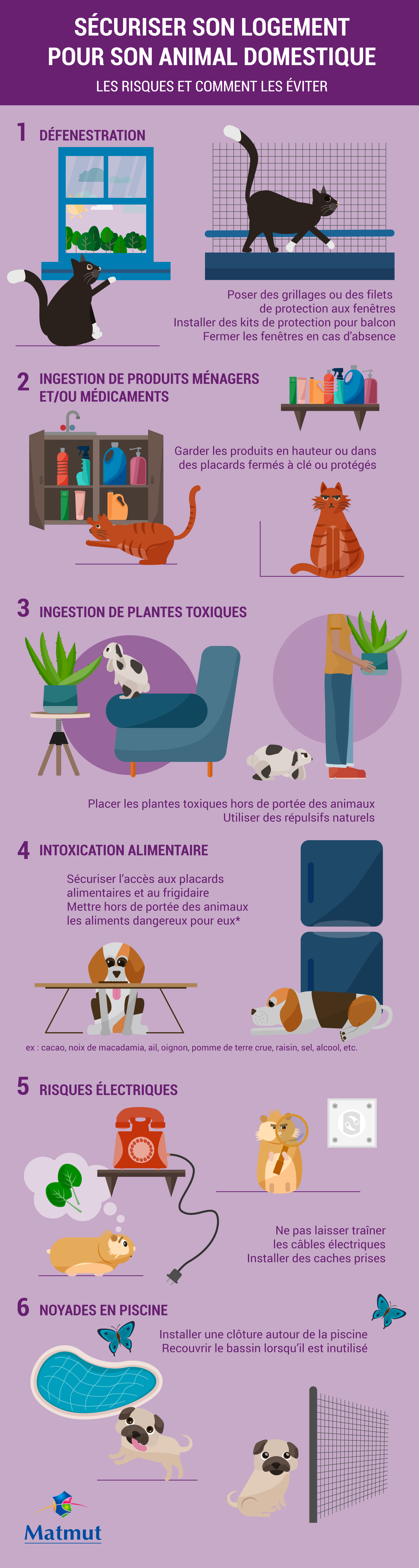 sécuriser son logement animaux domestiques