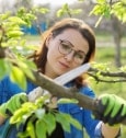 Élaguer ses arbres